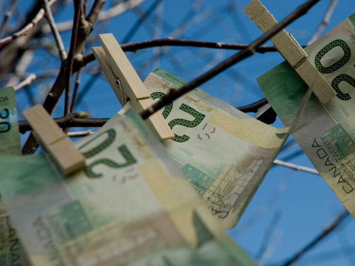 Gros plan sur des branches d'arbre avec des billets de vingt dollars accrochés dessus